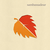 Whatever Season by Sambassadeur