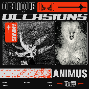 Animus