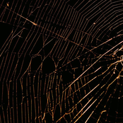 Follows / Hindsight - Single