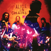 Killer Is Me by Alice In Chains