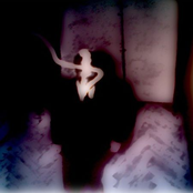 The Body as a Wasteland