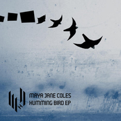Contradiction by Maya Jane Coles
