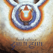 Gone To Earth by David Sylvian