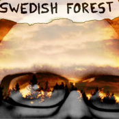 swedish forest