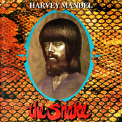 Harvey Mandel: The Snake