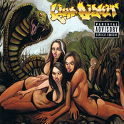 Gold Cobra by Limp Bizkit