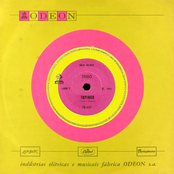 Tapinha / Peba & Pobó