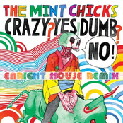 Enright House Remixes The Mint Chicks