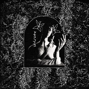 Shadow Garden