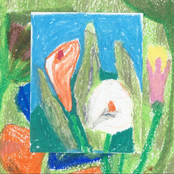 Mae Powell: Rope You In