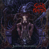 Systematic Transmutations