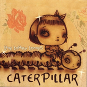 Caterpillars And Butterflies by The Tokey Tones