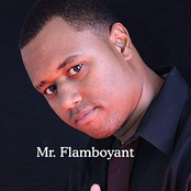 Mr. Flamboyant