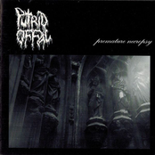 Infernal Disgust / Premature Necropsy