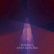 Whales And Aurora
