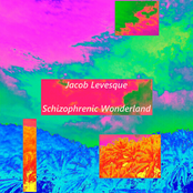 Jacob Levesque / Schizophrenic Wonderland