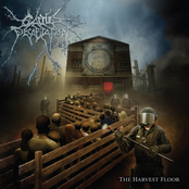 A Body Farm by Cattle Decapitation