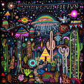 The Desert Furs: Existing Just For Fun