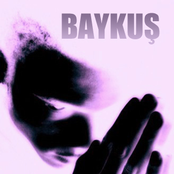 baykus