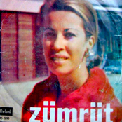 Deveyi Düzde Gördüm / Bekleyeceğim