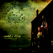 Like portraits on walls