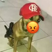 7 minutim na motossera do diabo