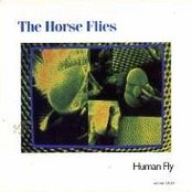 Jenny in the railroad