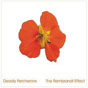 The Rembrandt Effect