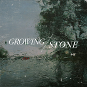 Growing Stone: Growing Stone
