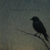 Lonely Bird
