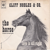 The Horse