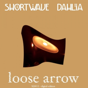 "Loose Arrow" single