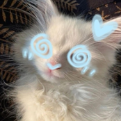 suffocate me until i turn blue