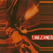 Loa do Boi da Meia Noite