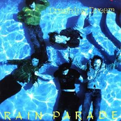 My Secret Country by Rain Parade