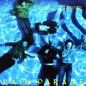 Rain Parade: Crashing Dream