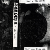 Endless Blossom, Early Blossom