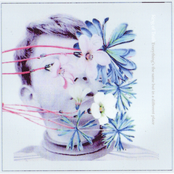 Everything's the Same but in a Different Place