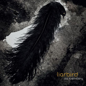 Liarbird