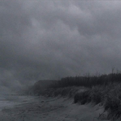 The Critical State Of Loneliness