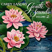 Gentle Sounds - Instrumental Music for Prayer and Worship, Vol. 2