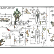 Arquétipos, o Encontro Com a Sombra
