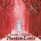 Phantom Limbs by Grayson Gilmour