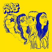 Sister Wives: Malady