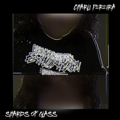shards of glass