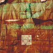 Entering The Levitation: A Tribute To Skepticism