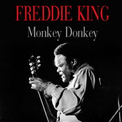 Surf Monkey by Freddie King