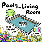 Three Legged Dog: Pool in the Living Room