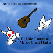 Find Me Floating on Meteor Created Lakes (Split with Catskill)