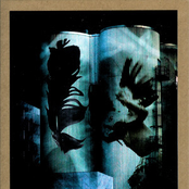 Annapurna Illusion vs. Niagara Falls